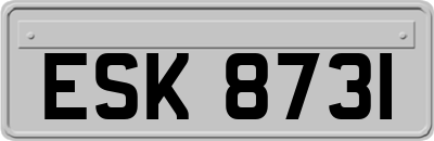 ESK8731