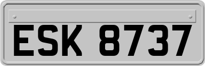 ESK8737