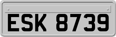 ESK8739