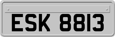 ESK8813