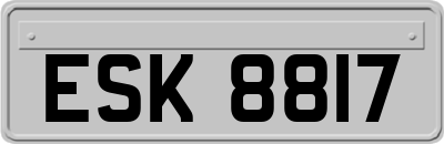 ESK8817