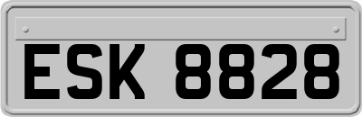 ESK8828