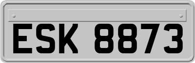 ESK8873