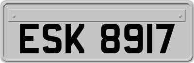 ESK8917