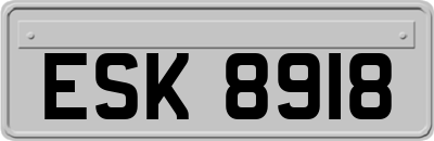 ESK8918