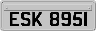 ESK8951