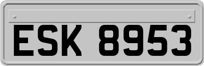 ESK8953
