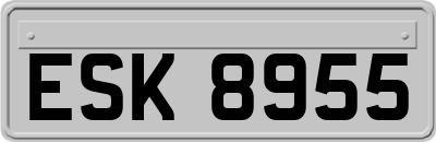 ESK8955