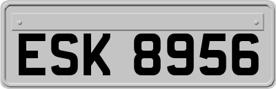 ESK8956
