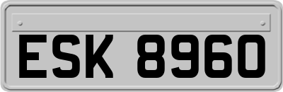 ESK8960