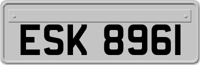 ESK8961