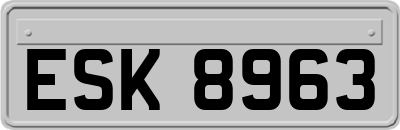 ESK8963