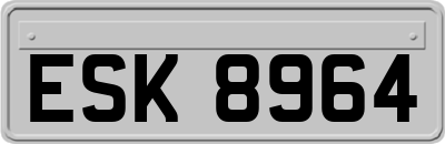 ESK8964