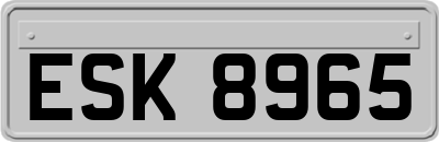 ESK8965