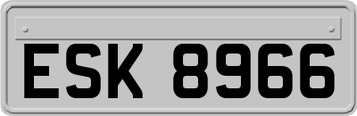 ESK8966