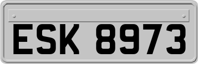 ESK8973