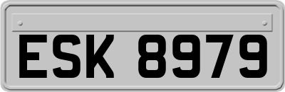 ESK8979