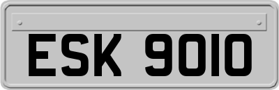ESK9010