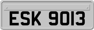 ESK9013