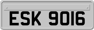 ESK9016