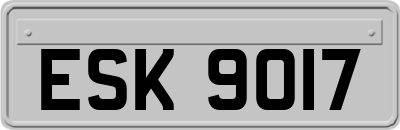 ESK9017