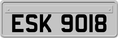 ESK9018