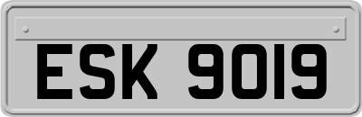ESK9019