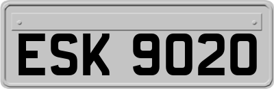 ESK9020