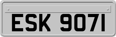 ESK9071