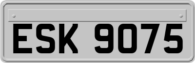 ESK9075