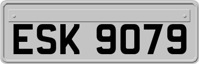 ESK9079