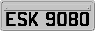 ESK9080