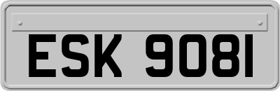 ESK9081