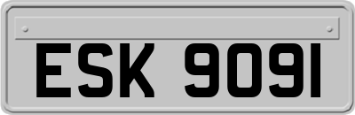 ESK9091