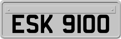 ESK9100