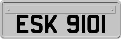 ESK9101