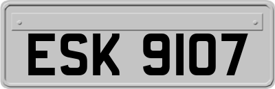 ESK9107