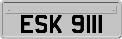 ESK9111