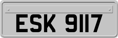 ESK9117