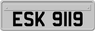 ESK9119