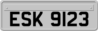 ESK9123