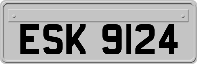 ESK9124