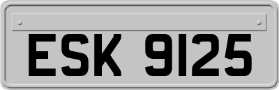 ESK9125