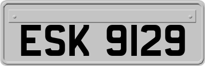 ESK9129