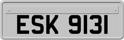 ESK9131