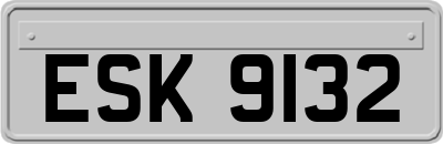 ESK9132