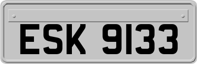 ESK9133