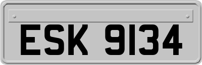 ESK9134