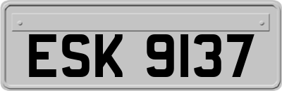 ESK9137