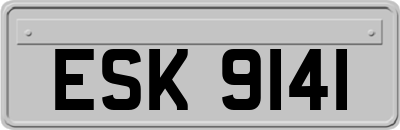 ESK9141